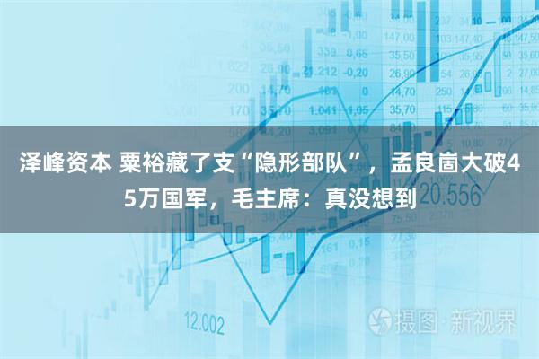 泽峰资本 粟裕藏了支“隐形部队”，孟良崮大破45万国军，毛主席：真没想到