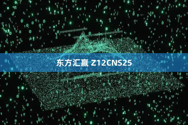 东方汇赢 Z12CNS25