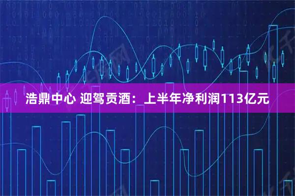 浩鼎中心 迎驾贡酒：上半年净利润113亿元