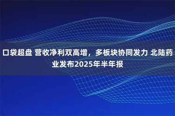 口袋超盘 营收净利双高增，多板块协同发力 北陆药业发布2025年半年报