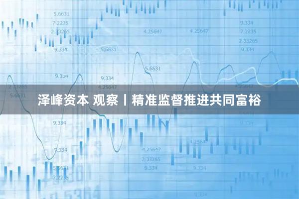 泽峰资本 观察丨精准监督推进共同富裕