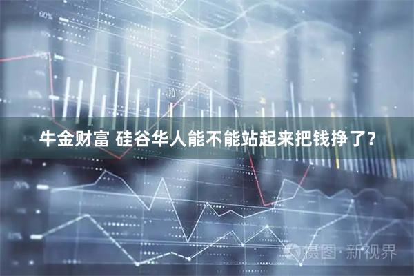 牛金财富 硅谷华人能不能站起来把钱挣了？