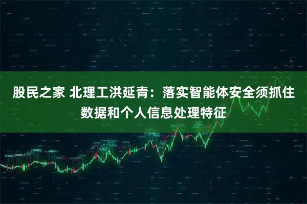 股民之家 北理工洪延青：落实智能体安全须抓住数据和个人信息处理特征